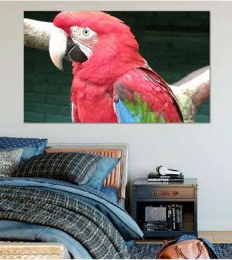 Painel Adesivo Arara Vermelha