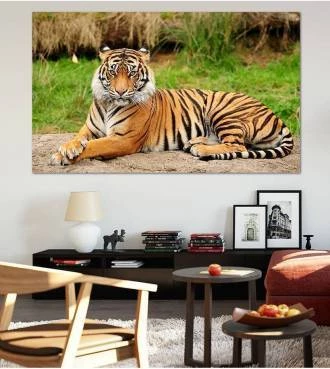 Painel Adesivo Tigre-de-bengala