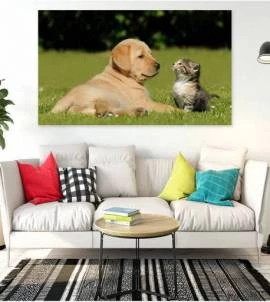 Painel Adesivo Cão e Gato