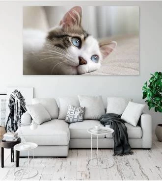 Painel Adesivo Gato Meigo