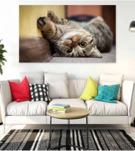 Painel Adesivo gato
