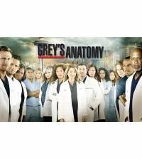 Painel Adesivo Grey's Anatomy 1813-4224