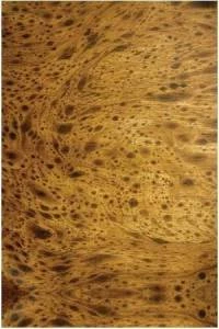 Papel de parede madeira onça pintada