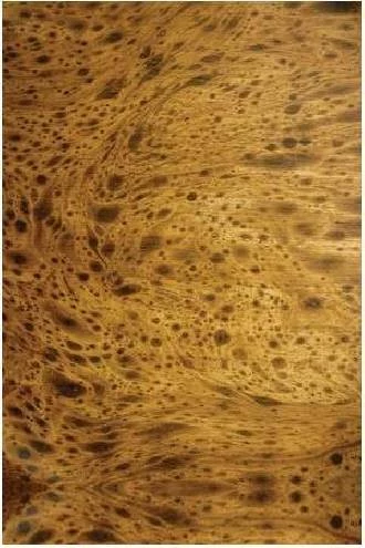 Papel de parede madeira onça pintada