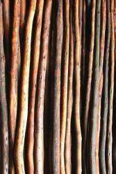 Papel de parede madeira gravetos