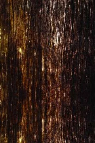 Papel de parede madeira 02