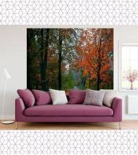 Papel de parede Paisagem Folhagem 1874-4644