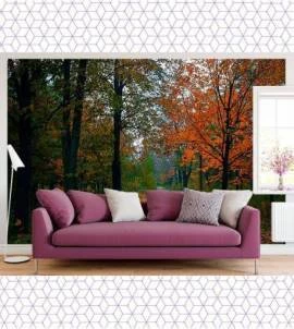 Papel de parede Paisagem Folhagem