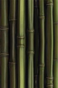 Papel de parede madeira Bambu 405-469