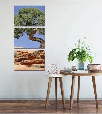 Kit de Quadro Árvore