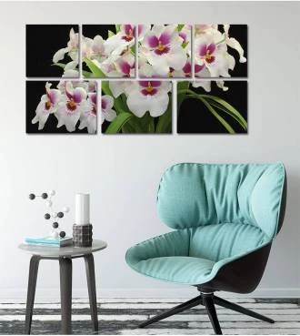 Kit de Quadro Flores Brancas
