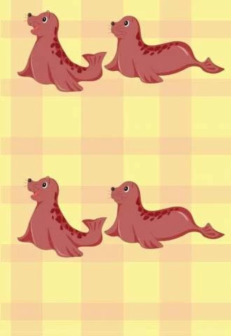 Papel de parede infantil foca
