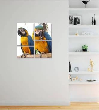 Kit de Quadro Casal de Araras