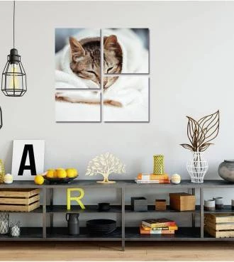 Kit de Quadro Gatinho Fofo