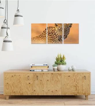 Kit de Quadro Onça