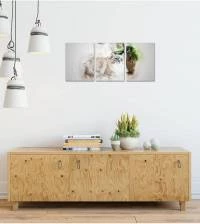 Kit de Quadro Gato Pintura 1996-4940