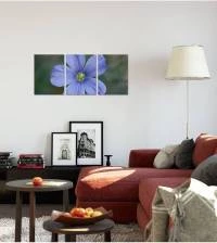 Kit de Quadro Flor Azul 1997-4942