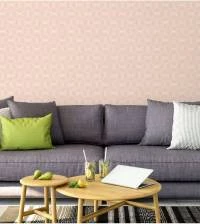 Papel de parede em tons salmon 2046-5072