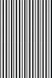 Papel de parede listras finas branco e preto