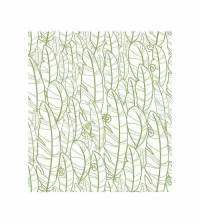 Papel de parede folhagens verde 2081-5336