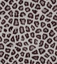 Papel de parede Pele De Tigre Siberiano 2167-5576