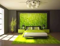 Foto Mural personalizado 474-558