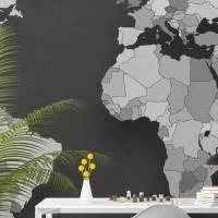 Papel de Parede Mapa Mundi Minimalista 2203-5763