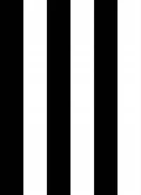 Papel de parede listras grossas branco e preto