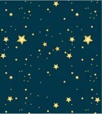 Papel de parede noite estrelada 2231-5829
