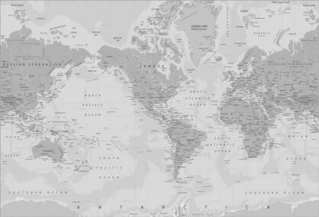 Papel de Parede Mapa Mundi Branco e Preto 1576-5848