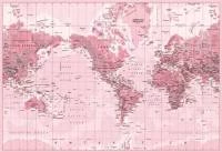Papel de parede mapa do mundo rosa 2245-5858