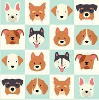 Papel de parede dog face 1557-6047