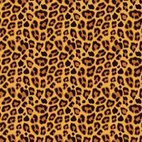 Papel de parede leopardo