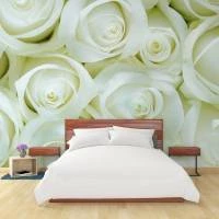 Papel de parede rosas brancas grandes 2384-6106