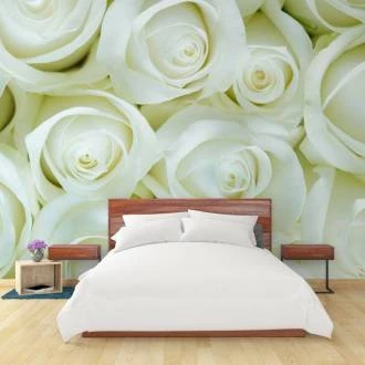 Papel de parede rosas brancas grandes