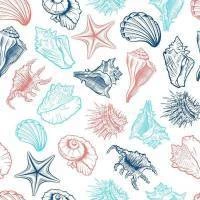 Papel de parede adesivo conchas, estrelas do mar, caracois