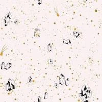 Papel de parede constelação mistico