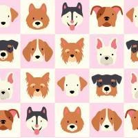Papel de parede quadriculado cachorrinhos 2351-6539