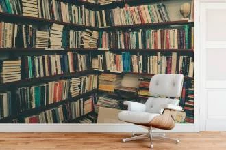 Papel de Parede estante de livros