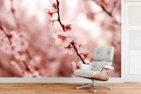 Papel de Parede Sakura rosa 2684-6828