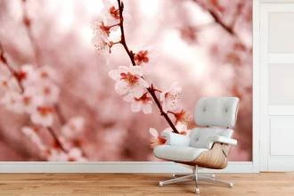 Papel de Parede Sakura rosa