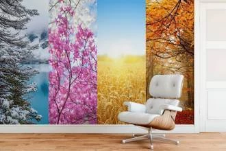 Papel de Parede Girasol