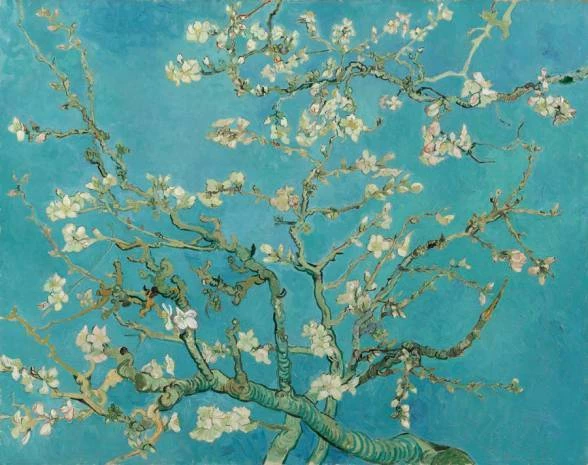 Papel de parede Amendoeira em flor por Vincent Van Gogh 2805-7017