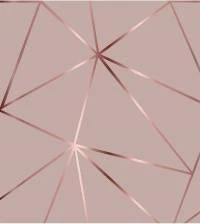 Papel de parede Zara teia rose 2842-7093