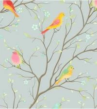 Papel de parede campestre pássaros coloridos 2908-7234