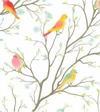 Papel de parede campestre pardais e colibris 2909-7236
