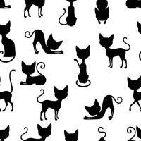 Papel de parede gato preto