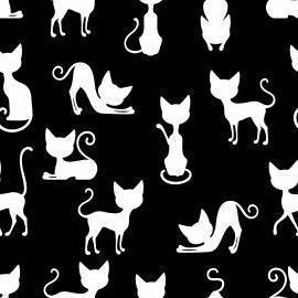 Papel de parede gatos com fundo preto