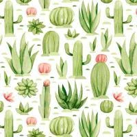 Papel de parede plantas do deserto