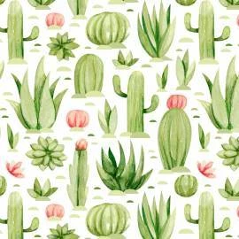 Papel de parede plantas do deserto